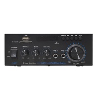 Acoustic Control AMP 30