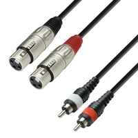Cable 2 XLR H A 2 RCA